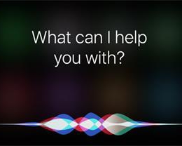 Siri 被曝泄露用户隐私，应对方法只有关闭它