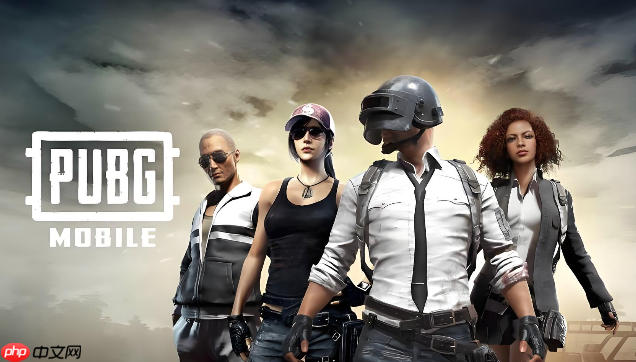 pubg官网入口2026最新 pubg官网入口永久地址