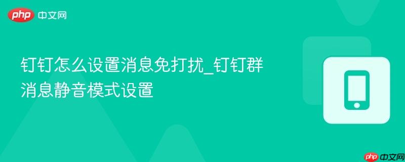 钉钉怎么设置消息免打扰_钉钉群消息静音模式设置