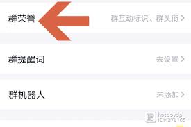 群里为什么看不见头衔-如何在群里显示自己的头衔