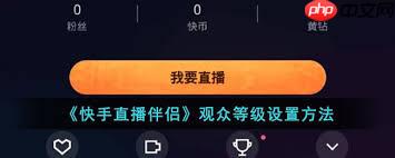 快手直播伴侣如何设置观众等级