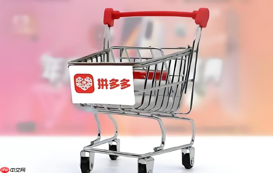 拼多多网页版平台入口地址 拼多多官网最新登录入口