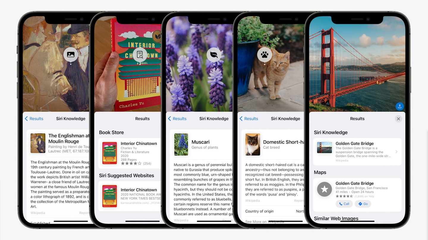 iPad Pro M4如何利用照片App的识别物种功能_iPad智能百科助手设置